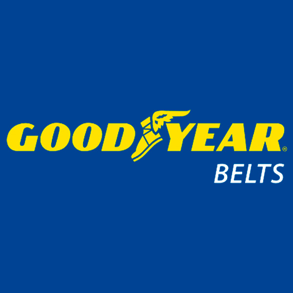 3L300 - FHP V-Belt